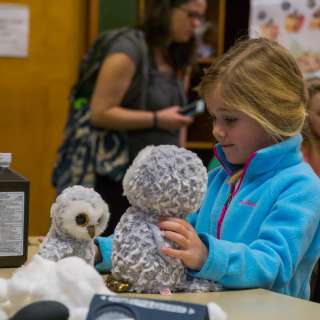 Critter Check Up at the WNC Nature Center