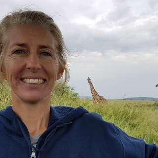 Giraffe Tall Tales: True Stories About the World's Tallest Animal