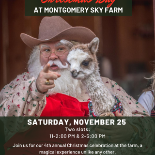 Christmas at the farm