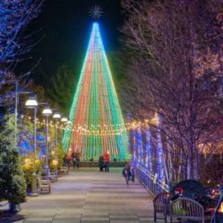 Winter Lights