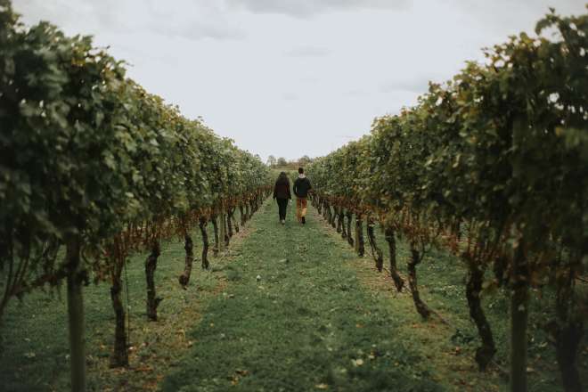 Vineyards Breweries In Newport Ri Discover Newport Rhode Island