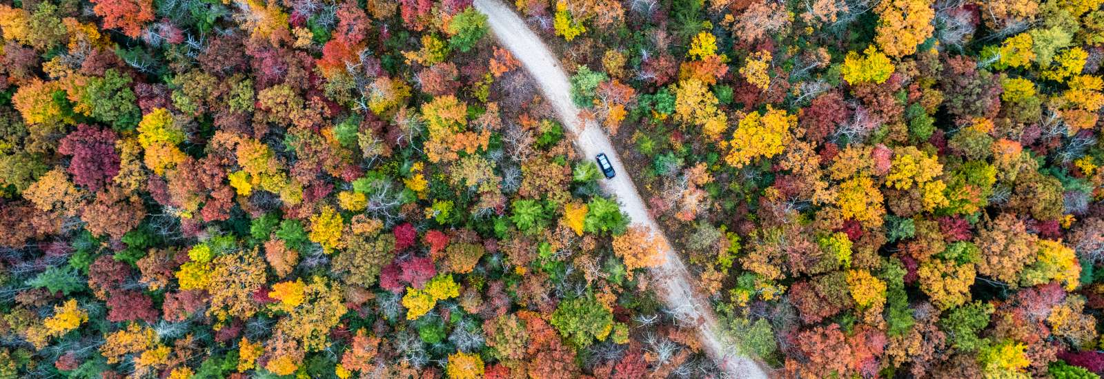 Fall Drive