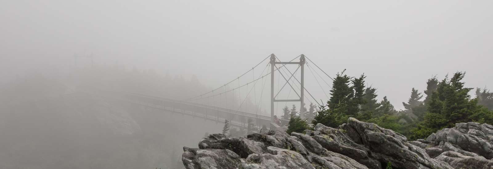 Foggy Grandfather Swinging Bridge