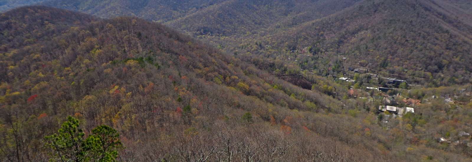 Lookout Mountain in Montreat