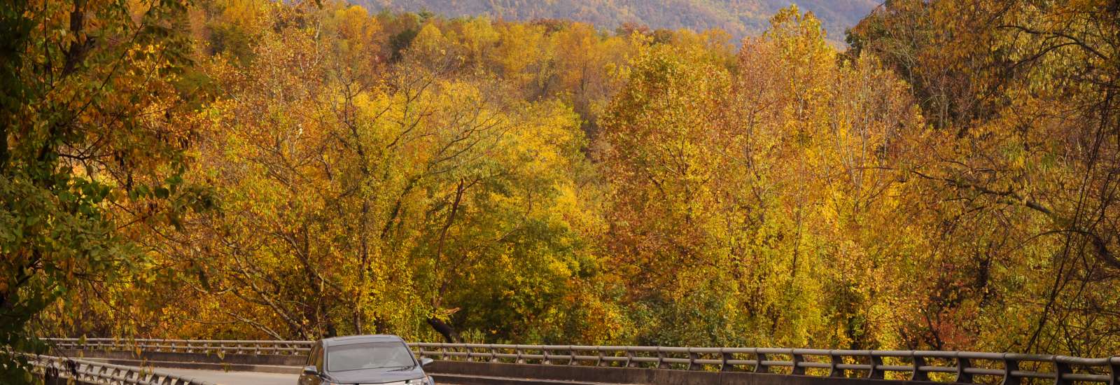Fall Drive on the Blue Ridge Parkway