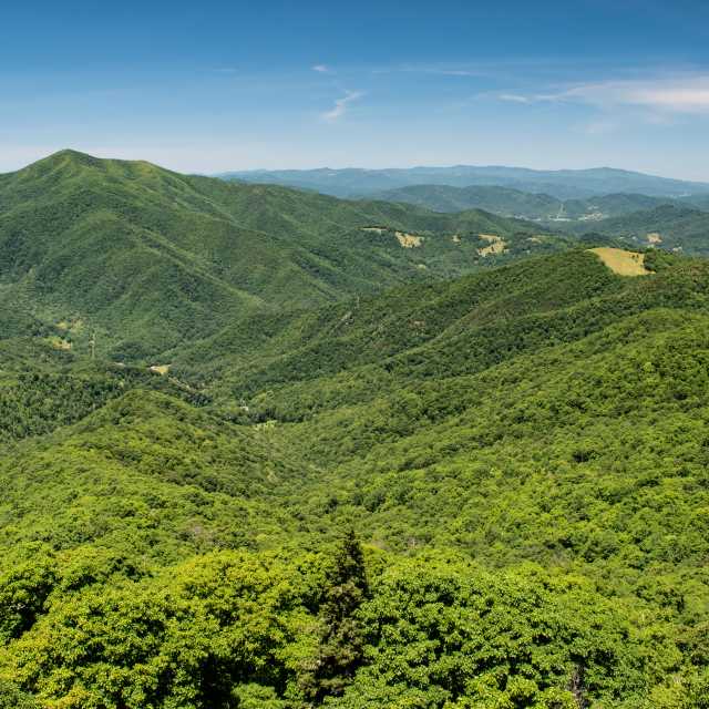 Asheville Hike: Lookout Mountain