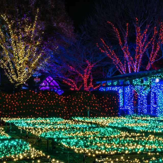 Christmas At Biltmore Special Events