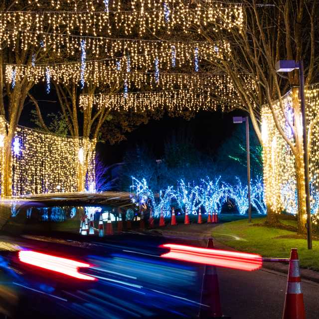 Lake Julian Festival Of Lights 2022