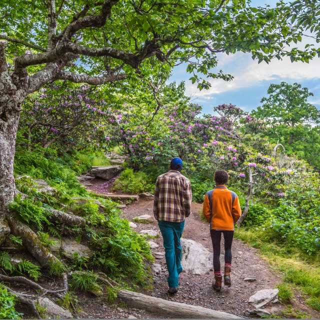 Top 5 Winter Hikes Asheville N C Hiking Trails