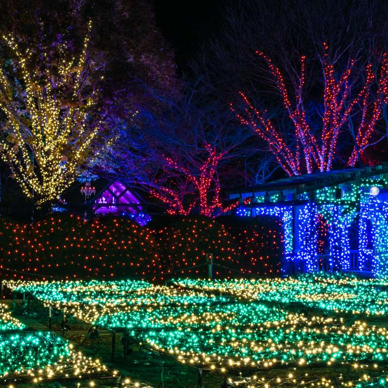 Holiday Events Festivities In Asheville N C Asheville