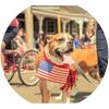 Cannon Beach is Fireworks-Free to respect wildlife and domestic animals.