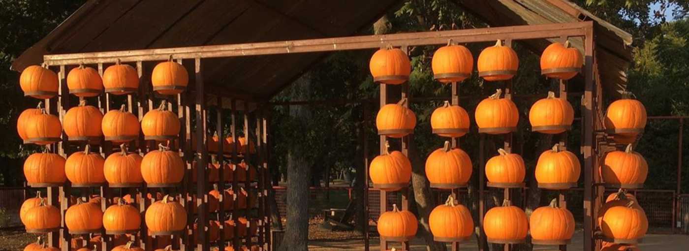15 Halloween Events in Fort Worth