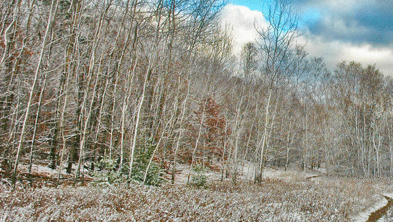 Hiking In Traverse City Trails Recreation Areas Hiking In Traverse City Trails Recreation Areas