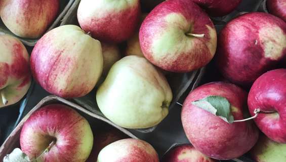 Farmers Markets U Picks In Traverse City Local Produce