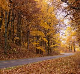 Scenic Mountain Drives