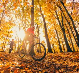MTB Trails for Fall Color