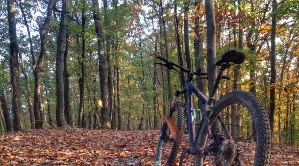 prospect park mountain bike trails