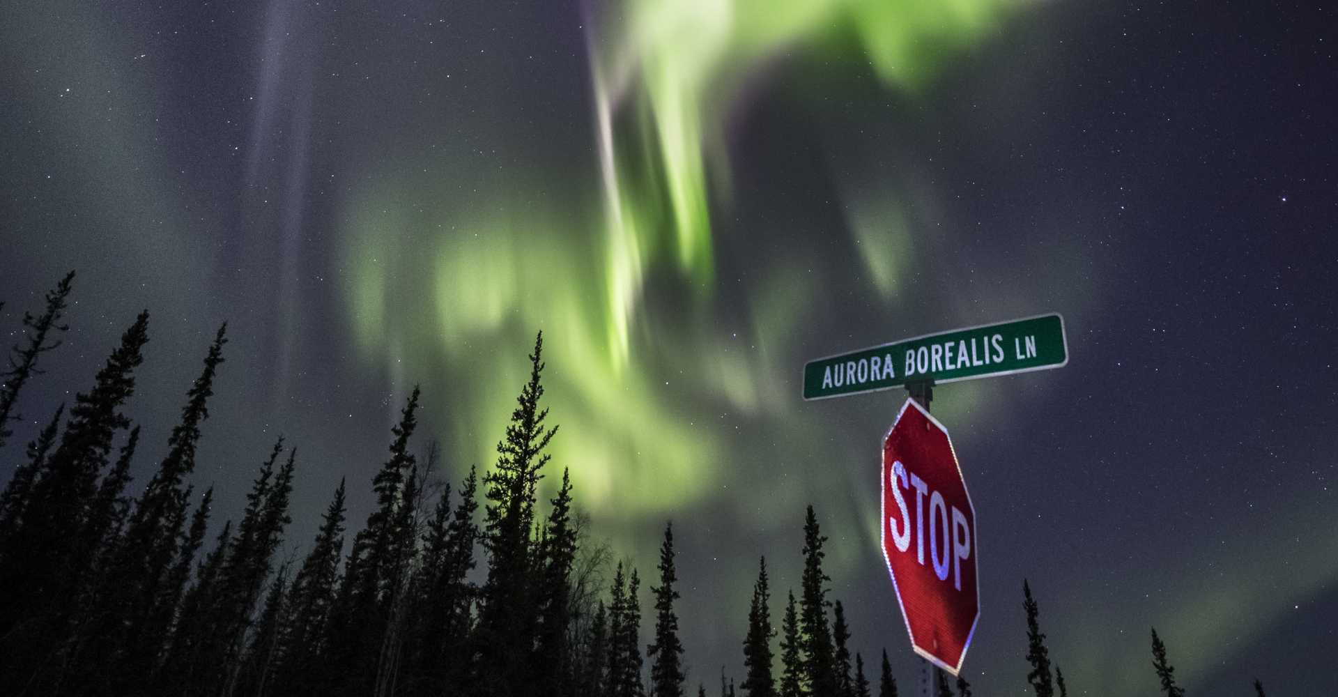 aurora borealis tour fairbanks