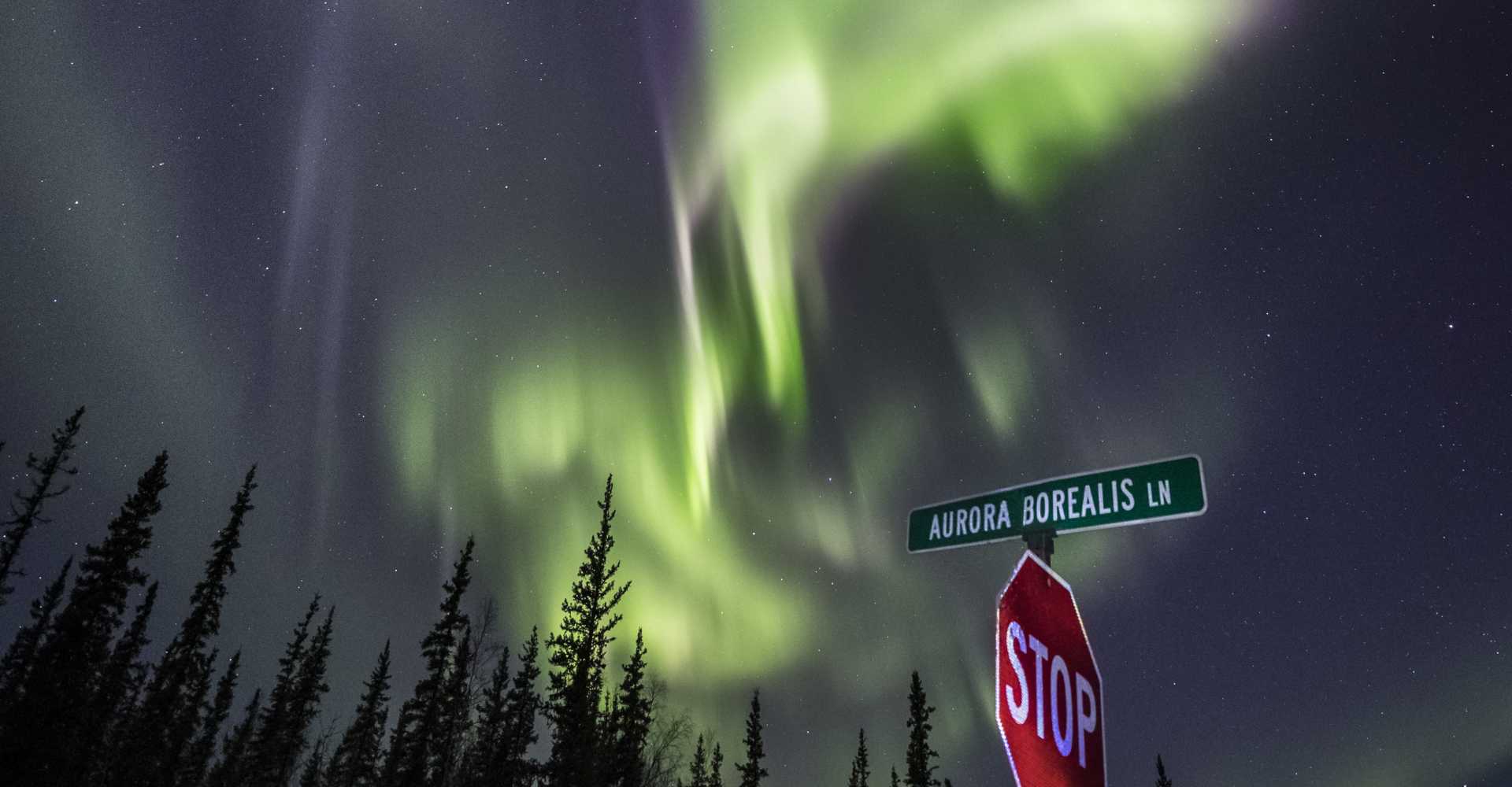 Borealis | Explore Alaska