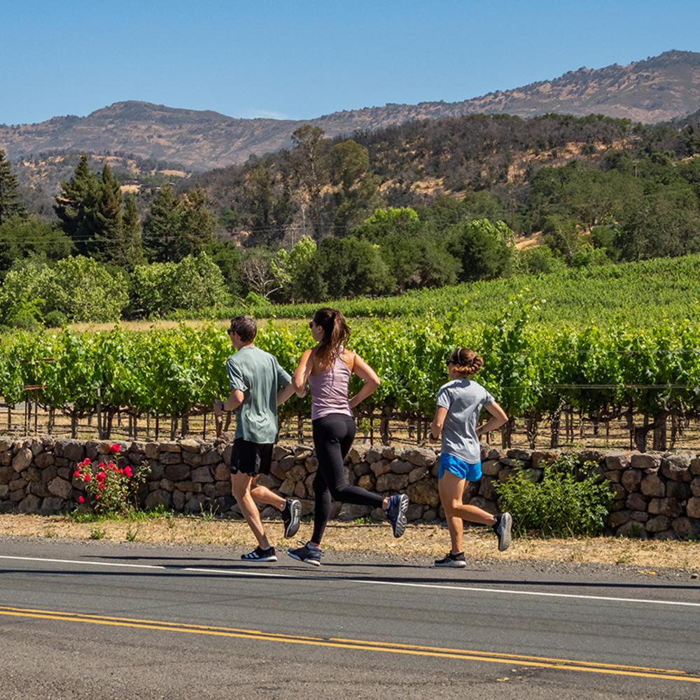 WineShine Half Marathon runners