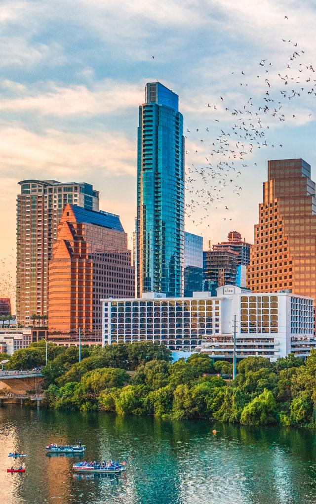 bats flying from the congress bridge in front of Austin skyline at sunset