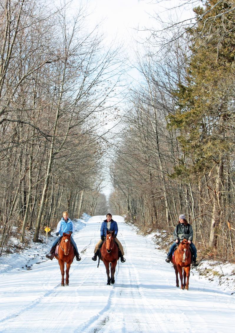 DK Ranch Horseback Riding through FL Forest in Winter