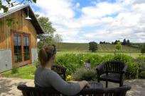 Benton Lane Vineyard View