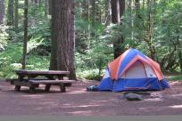 Delta Old Growth Campground, McKenzie River by Natalie Inouye