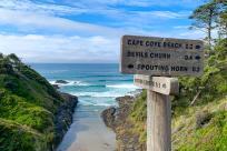 A wooden sign points to different coastal attractions. In the background is a small beach and blue skies.
