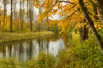 Clearwater Park in Fall by David Putzier