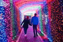 Village Green Light Tunnel with Couple