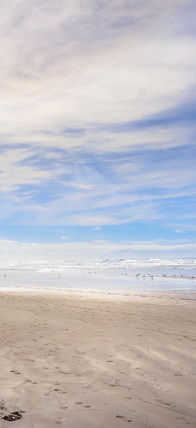 Gallery#71 Home - Morro Bay, CA - Official Visitor Guide
