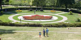 The maple leaf garden at Toronto's High Park in summer
