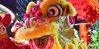 Lion dance performance for Chinese New Year