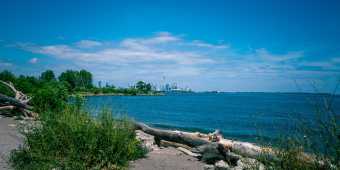 View of the Toronto Skyline from Humber Bay Shores