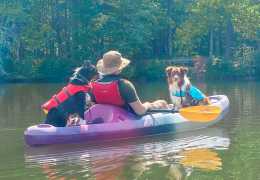 Dog Friendly Itinerary in York County, South Carolina