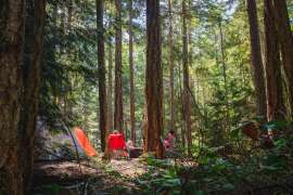 Top Campgrounds on The San Francisco Peninsula