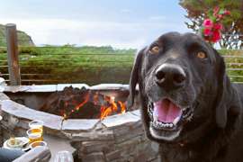 Dog Friendly Breweries and Wineries