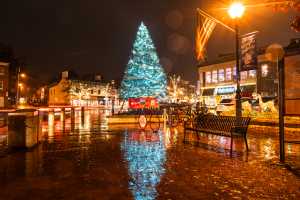 A Christmas tree lit up at night on a rainy streetfront.