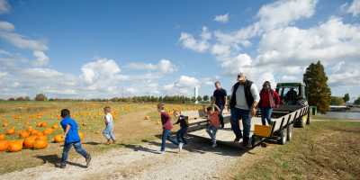 Joe Huber's - fall fun - pumpkin