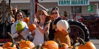 Huber's Fall Pumpkins
