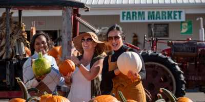 Huber's Fall Pumpkins