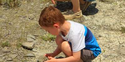 Boy bent down looking at rocks at Caesar Creek Lake