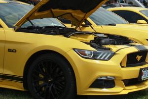 Line of yellow Ford Mustang cars at the Carlisle Ford Nationals