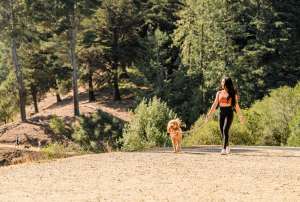 Woman walking her dog at Joaquin Miller Park in Oakland California