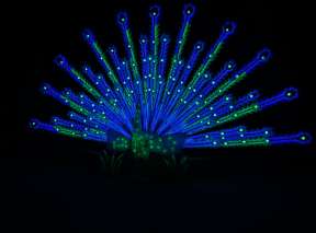 A peacock lantern is lit in blue and green during the Wild Lights exhibit at Sedgwick County Zoo