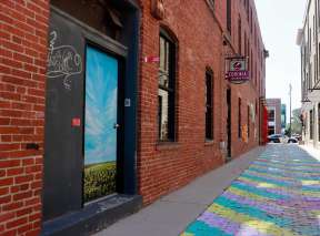 Field of Happiness Alley Door by Sue Godwin