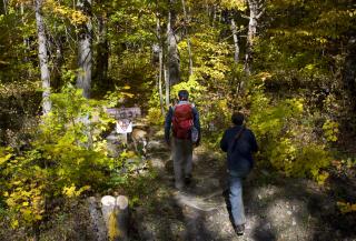 Finger Lakes National Forest