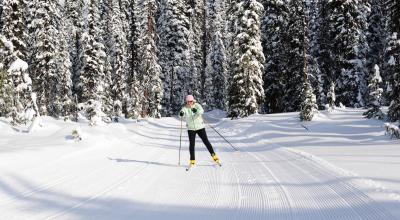 Kelowna Winter Activities Things To Do In The Okanagan Valley