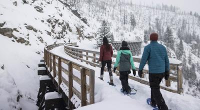 Kelowna Winter Activities Things To Do In The Okanagan Valley